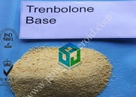 Фармацевтические стероиды Trenbolone пудрят t 10161-33-8, мышца приобретая дополнение